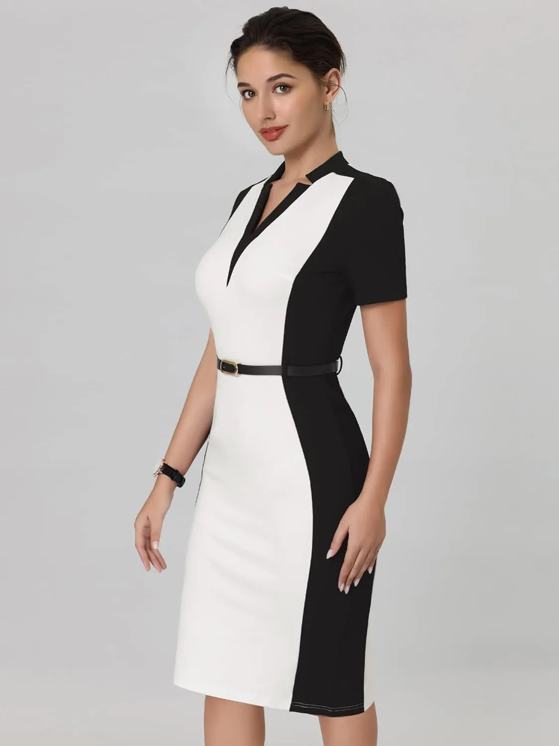 Women's Sheath Dress Office Contrast Color Business Dresses